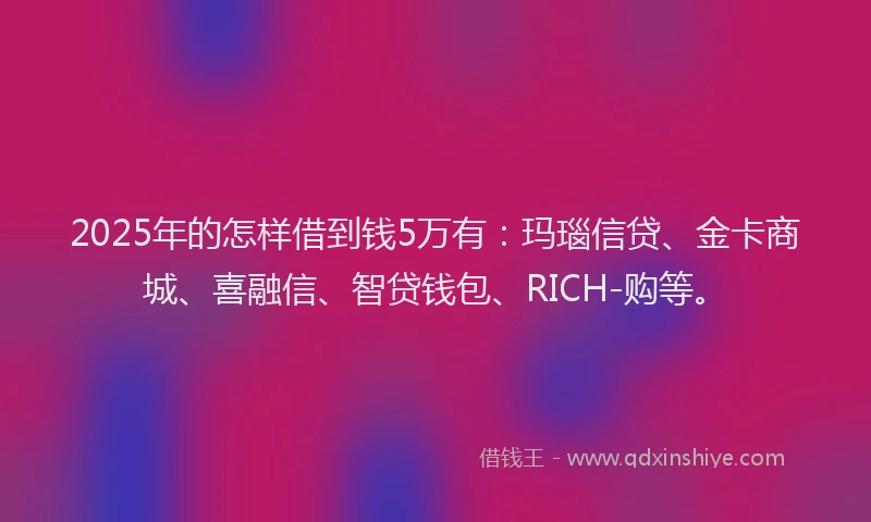 2025年的怎样借到钱5万有：玛瑙信贷、金卡商城、喜融信、智贷钱包、RICH-购等。