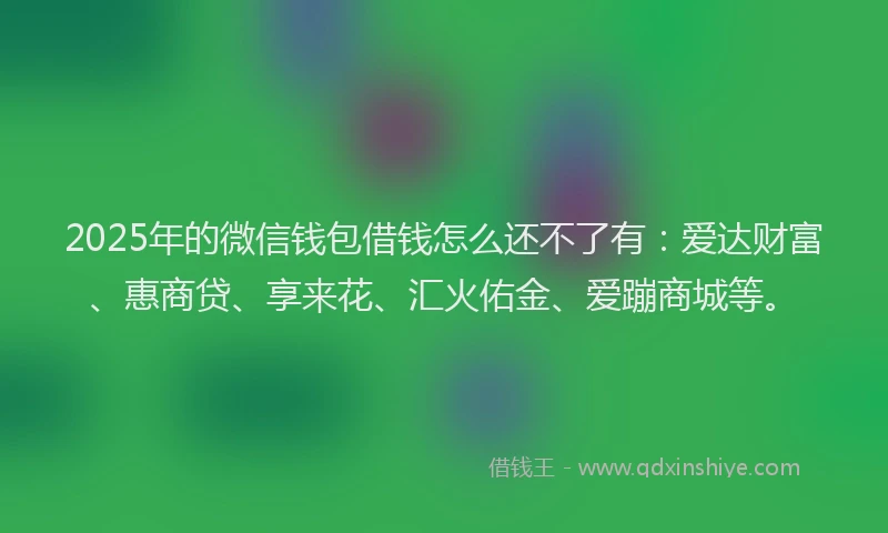 2025年的微信钱包借钱怎么还不了有：爱达财富、惠商贷、享来花、汇火佑金、爱蹦商城等。
