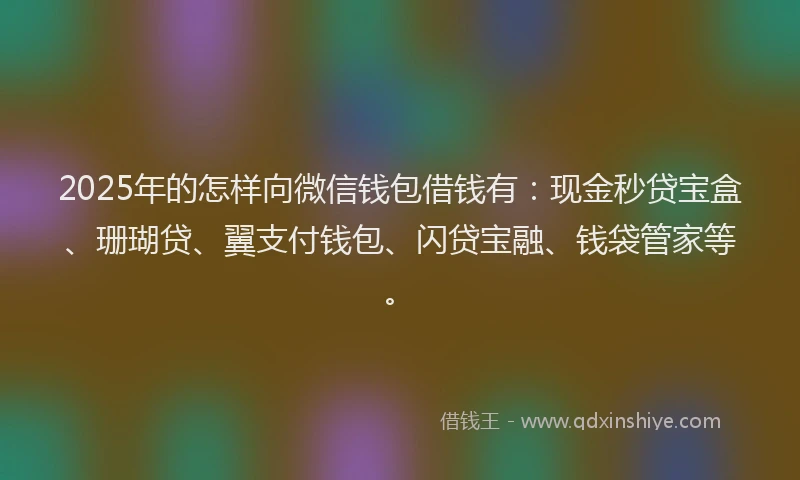 2025年的怎样向微信钱包借钱有：现金秒贷宝盒、珊瑚贷、翼支付钱包、闪贷宝融、钱袋管家等。