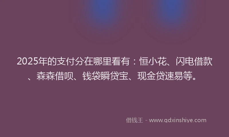 2025年的支付分在哪里看有：恒小花、闪电借款、森森借呗、钱袋瞬贷宝、现金贷速易等。