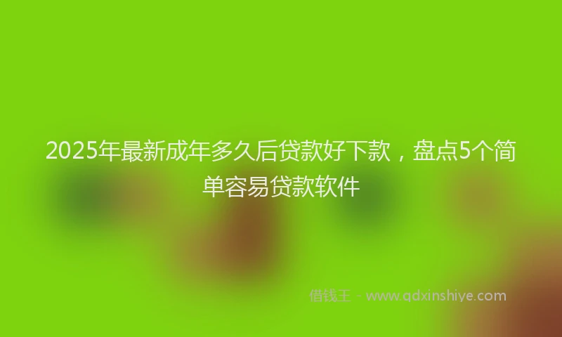 2025年最新成年多久后贷款好下款，盘点5个简单容易贷款软件