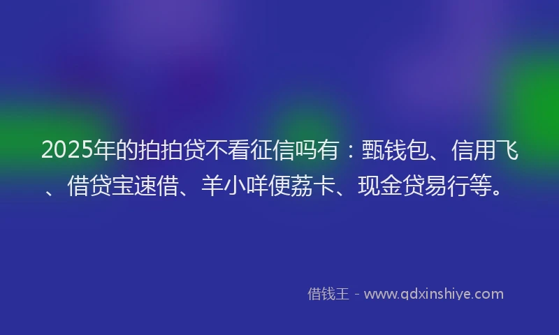 2025年的拍拍贷不看征信吗有：甄钱包、信用飞、借贷宝速借、羊小咩便荔卡、现金贷易行等。