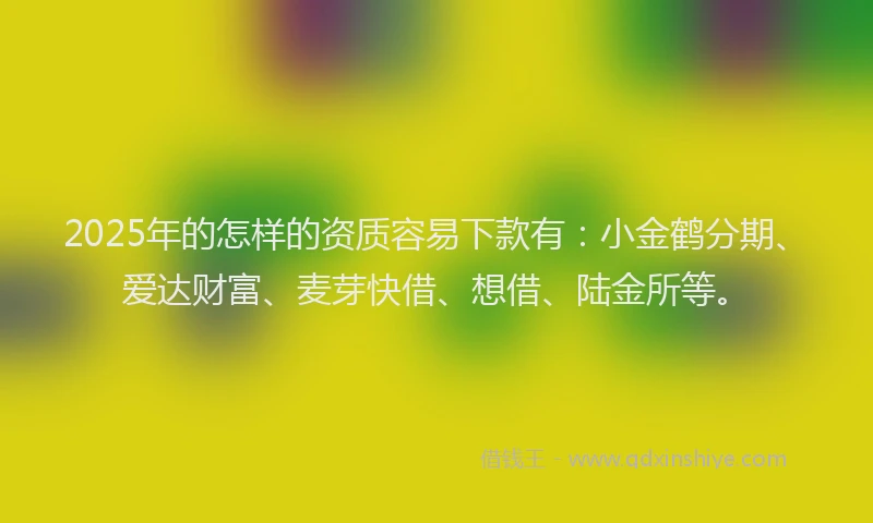 2025年的怎样的资质容易下款有：小金鹤分期、爱达财富、麦芽快借、想借、陆金所等。