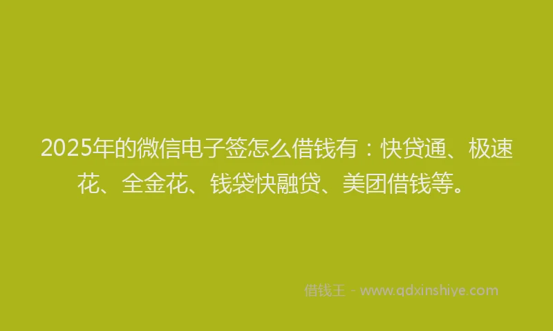 2025年的微信电子签怎么借钱有：快贷通、极速花、全金花、钱袋快融贷、美团借钱等。