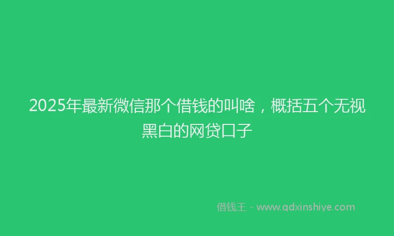 2025年最新微信那个借钱的叫啥，概括五个无视黑白的网贷口子