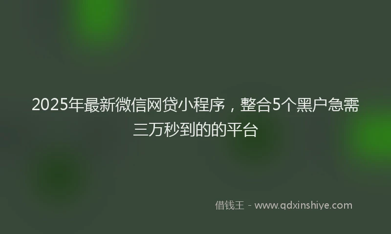 2025年最新微信网贷小程序，整合5个黑户急需三万秒到的的平台