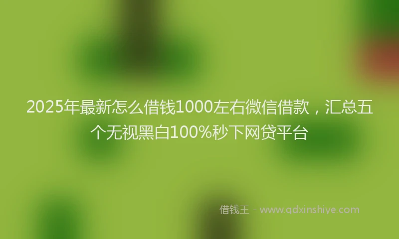 2025年最新怎么借钱1000左右微信借款，汇总五个无视黑白100%秒下网贷平台
