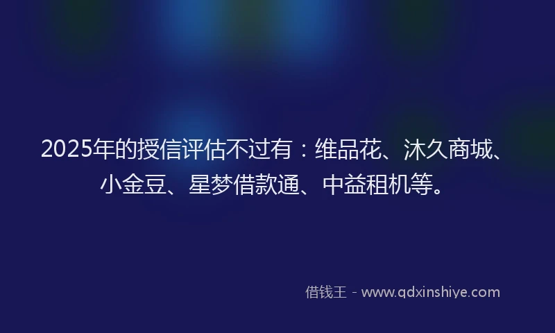 2025年的授信评估不过有：维品花、沐久商城、小金豆、星梦借款通、中益租机等。