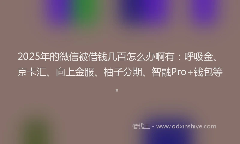 2025年的微信被借钱几百怎么办啊有：呼吸金、京卡汇、向上金服、柚子分期、智融Pro+钱包等。
