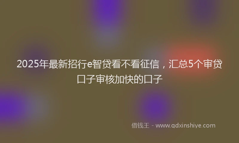 2025年最新招行e智贷看不看征信，汇总5个审贷口子审核加快的口子
