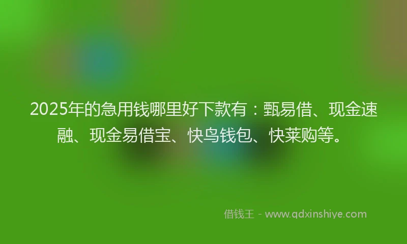 2025年的急用钱哪里好下款有：甄易借、现金速融、现金易借宝、快鸟钱包、快莱购等。