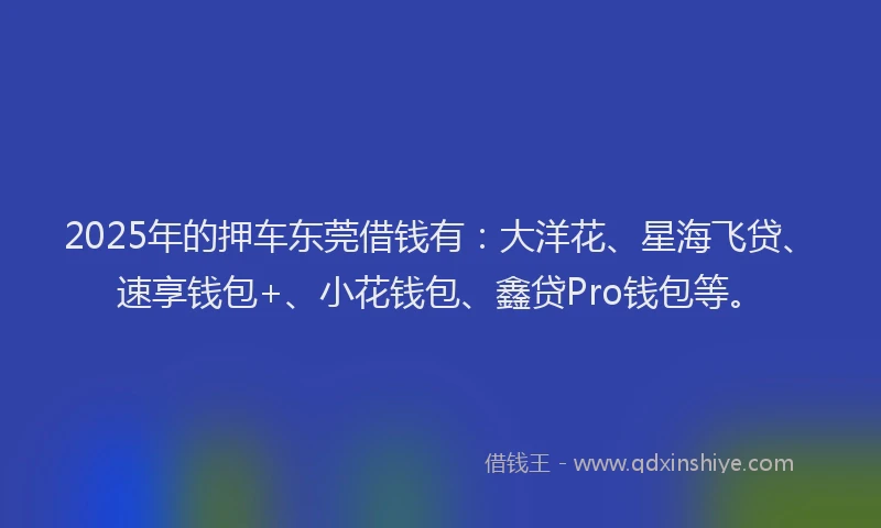2025年的押车东莞借钱有：大洋花、星海飞贷、速享钱包+、小花钱包、鑫贷Pro钱包等。