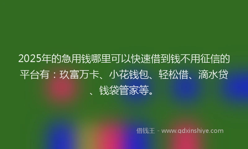 2025年的急用钱哪里可以快速借到钱不用征信的平台有：玖富万卡、小花钱包、轻松借、滴水贷、钱袋管家等。