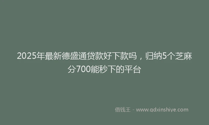 2025年最新德盛通贷款好下款吗，归纳5个芝麻分700能秒下的平台
