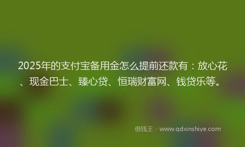 2025年的支付宝备用金怎么提前还款有：放心花、现金巴士、臻心贷、恒瑞财富网、钱贷乐等。