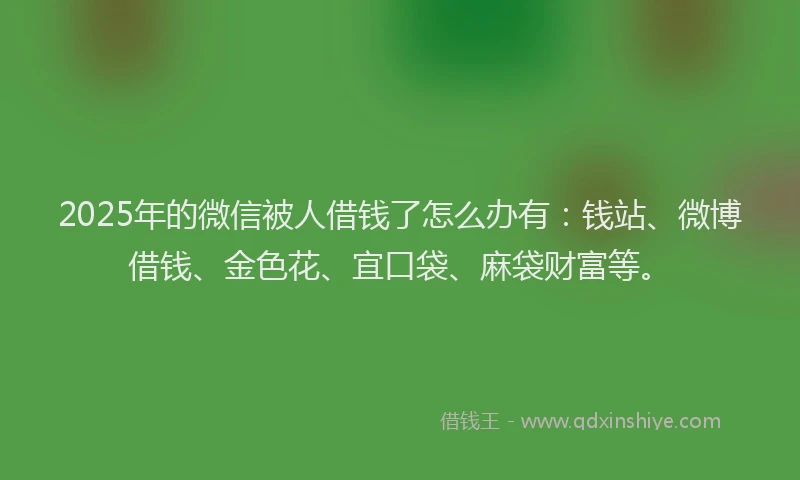 2025年的微信被人借钱了怎么办有：钱站、微博借钱、金色花、宜口袋、麻袋财富等。