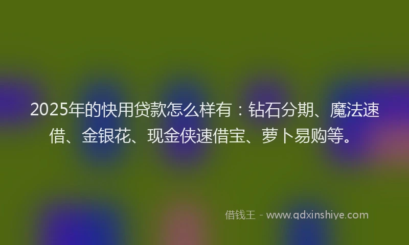 2025年的快用贷款怎么样有：钻石分期、魔法速借、金银花、现金侠速借宝、萝卜易购等。