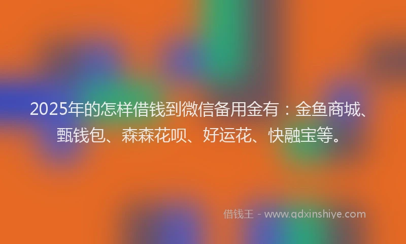 2025年的怎样借钱到微信备用金有：金鱼商城、甄钱包、森森花呗、好运花、快融宝等。