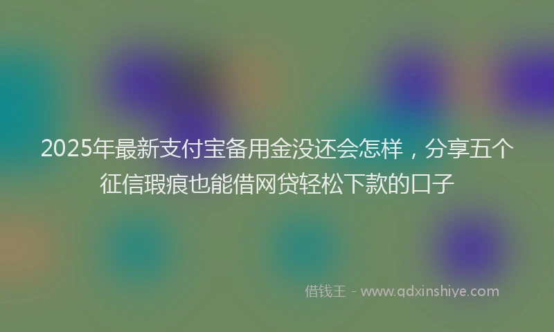 2025年最新支付宝备用金没还会怎样，分享五个征信瑕疵也能借网贷轻松下款的口子