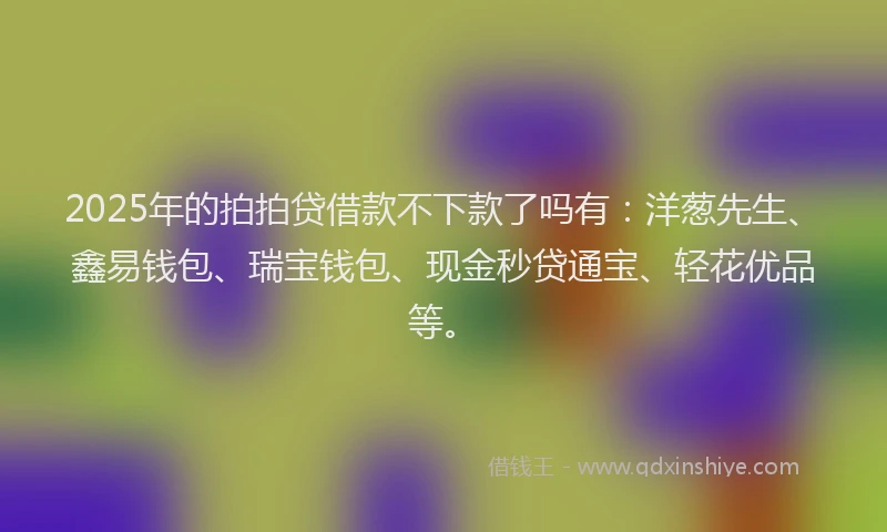 2025年的拍拍贷借款不下款了吗有：洋葱先生、鑫易钱包、瑞宝钱包、现金秒贷通宝、轻花优品等。