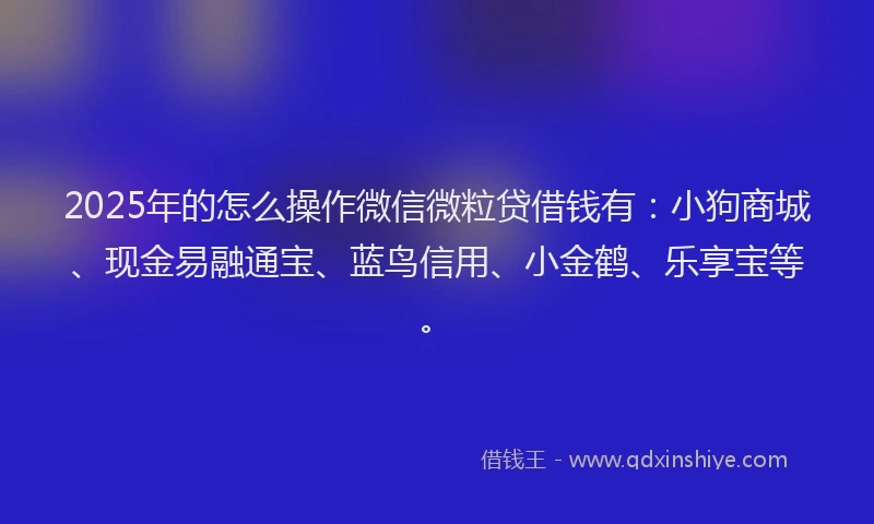 2025年的怎么操作微信微粒贷借钱有：小狗商城、现金易融通宝、蓝鸟信用、小金鹤、乐享宝等。