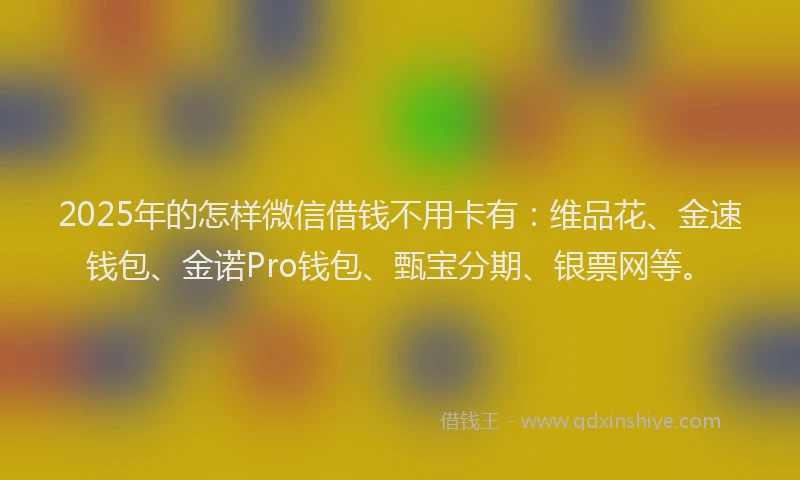 2025年的怎样微信借钱不用卡有：维品花、金速钱包、金诺Pro钱包、甄宝分期、银票网等。