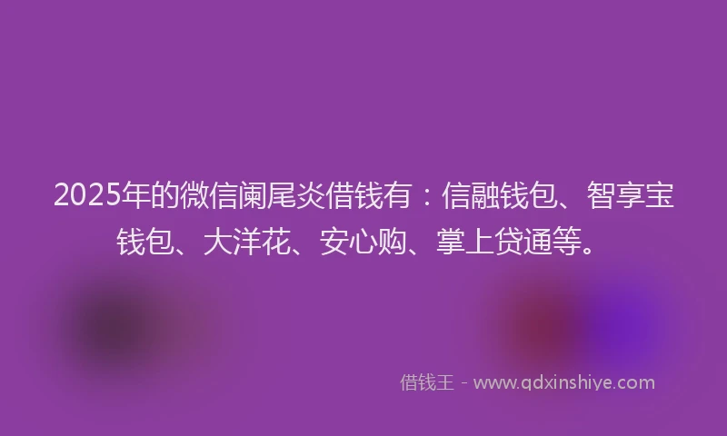 2025年的微信阑尾炎借钱有：信融钱包、智享宝钱包、大洋花、安心购、掌上贷通等。