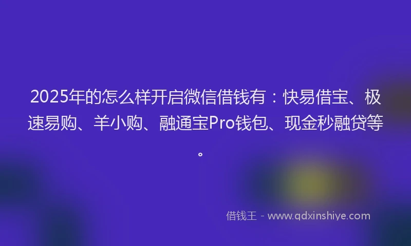 2025年的怎么样开启微信借钱有：快易借宝、极速易购、羊小购、融通宝Pro钱包、现金秒融贷等。