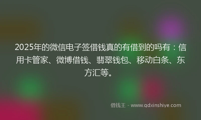 2025年的微信电子签借钱真的有借到的吗有：信用卡管家、微博借钱、翡翠钱包、移动白条、东方汇等。