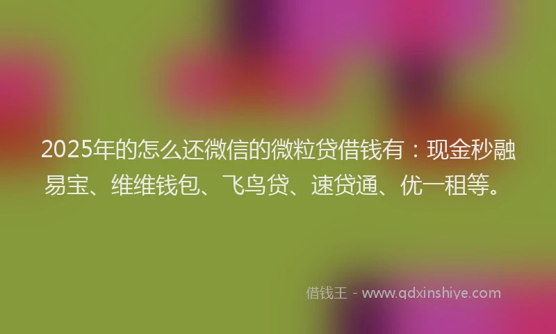 2025年的怎么还微信的微粒贷借钱有：现金秒融易宝、维维钱包、飞鸟贷、速贷通、优一租等。