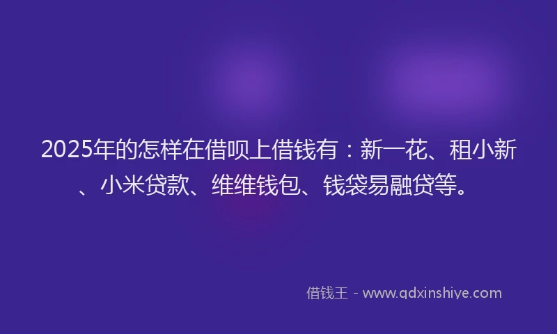 2025年的怎样在借呗上借钱有：新一花、租小新、小米贷款、维维钱包、钱袋易融贷等。