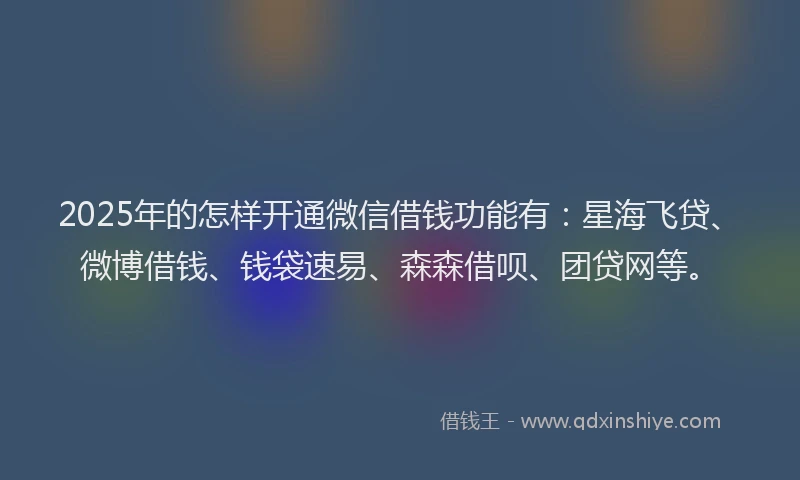 2025年的怎样开通微信借钱功能有：星海飞贷、微博借钱、钱袋速易、森森借呗、团贷网等。