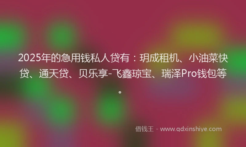 2025年的急用钱私人贷有：玥成租机、小油菜快贷、通天贷、贝乐享-飞鑫琼宝、瑞泽Pro钱包等。