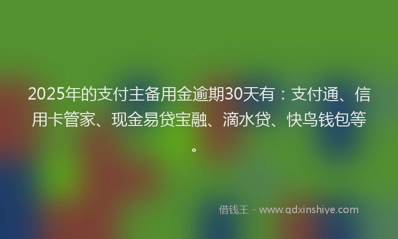 2025年的支付主备用金逾期30天有：支付通、信用卡管家、现金易贷宝融、滴水贷、快鸟钱包等。
