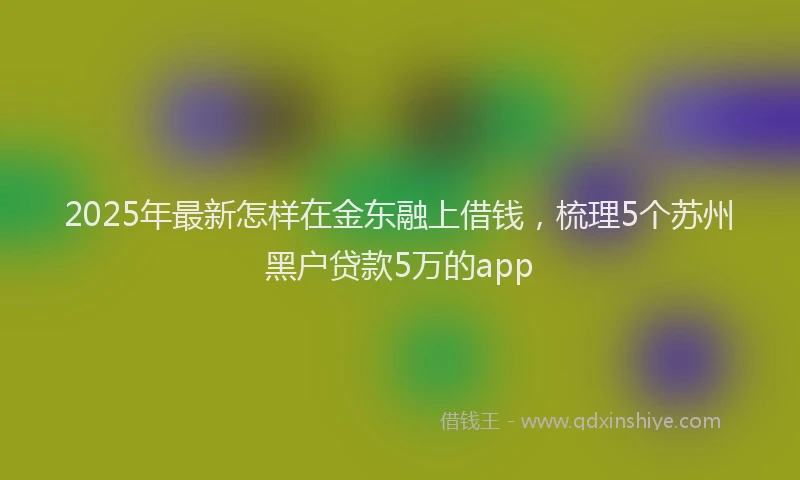 2025年最新怎样在金东融上借钱，梳理5个苏州黑户贷款5万的app