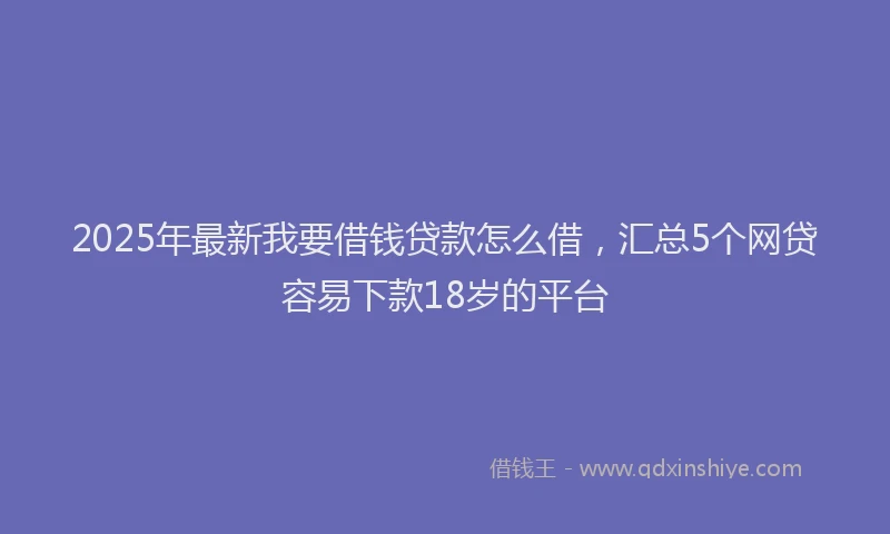 2025年最新我要借钱贷款怎么借，汇总5个网贷容易下款18岁的平台