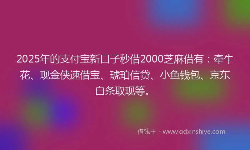 2025年的支付宝新口子秒借2000芝麻借有：牵牛花、现金侠速借宝、琥珀信贷、小鱼钱包、京东白条取现等。