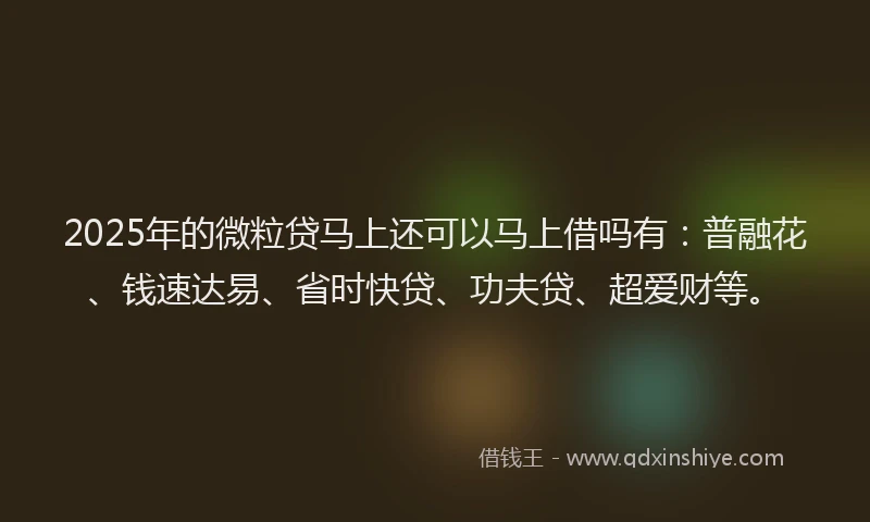 2025年的微粒贷马上还可以马上借吗有：普融花、钱速达易、省时快贷、功夫贷、超爱财等。
