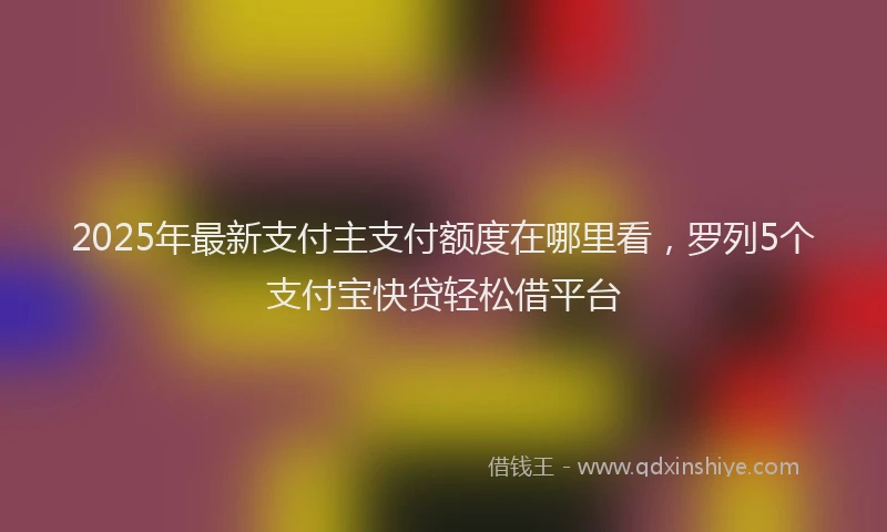 2025年最新支付主支付额度在哪里看，罗列5个支付宝快贷轻松借平台