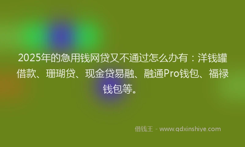 2025年的急用钱网贷又不通过怎么办有：洋钱罐借款、珊瑚贷、现金贷易融、融通Pro钱包、福禄钱包等。