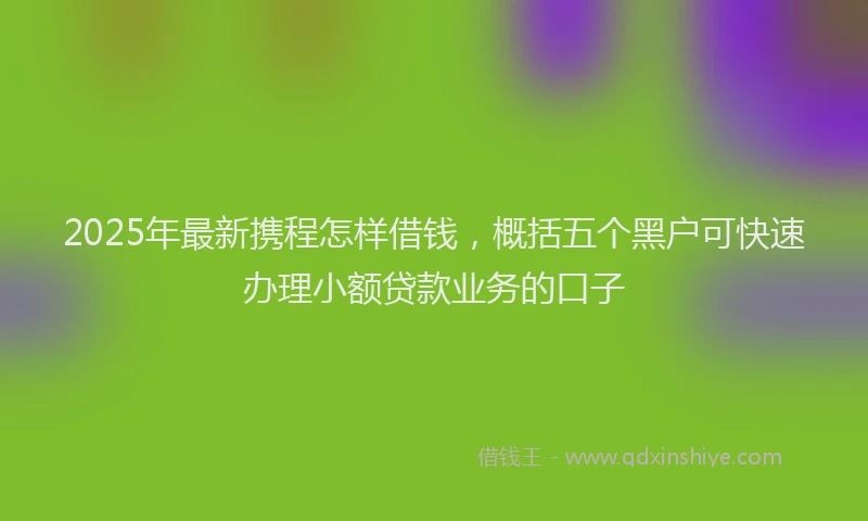 2025年最新携程怎样借钱，概括五个黑户可快速办理小额贷款业务的口子
