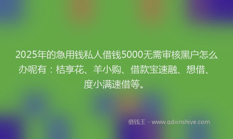 2025年的急用钱私人借钱5000无需审核黑户怎么办呢有：桔享花、羊小购、借款宝速融、想借、度小满速借等。