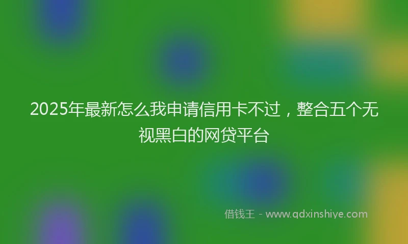 2025年最新怎么我申请信用卡不过，整合五个无视黑白的网贷平台