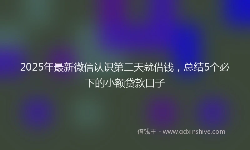 2025年最新微信认识第二天就借钱，总结5个必下的小额贷款口子