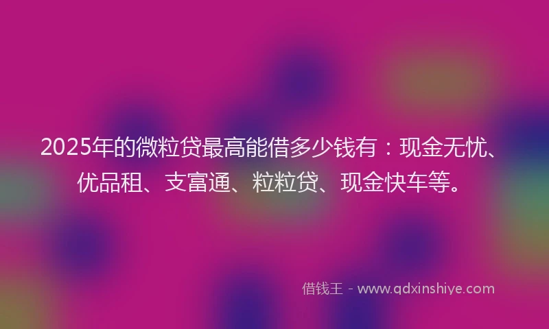 2025年的微粒贷最高能借多少钱有：现金无忧、优品租、支富通、粒粒贷、现金快车等。