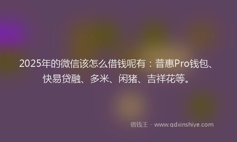 2025年的微信该怎么借钱呢有：普惠Pro钱包、快易贷融、多米、闲猪、吉祥花等。