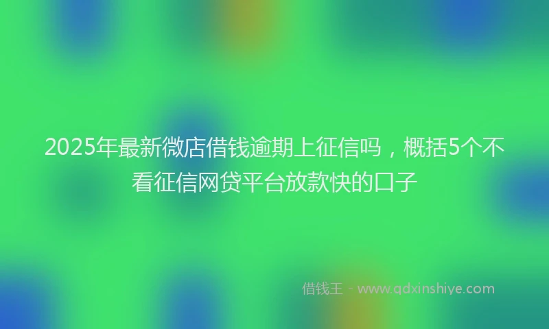 2025年最新微店借钱逾期上征信吗，概括5个不看征信网贷平台放款快的口子