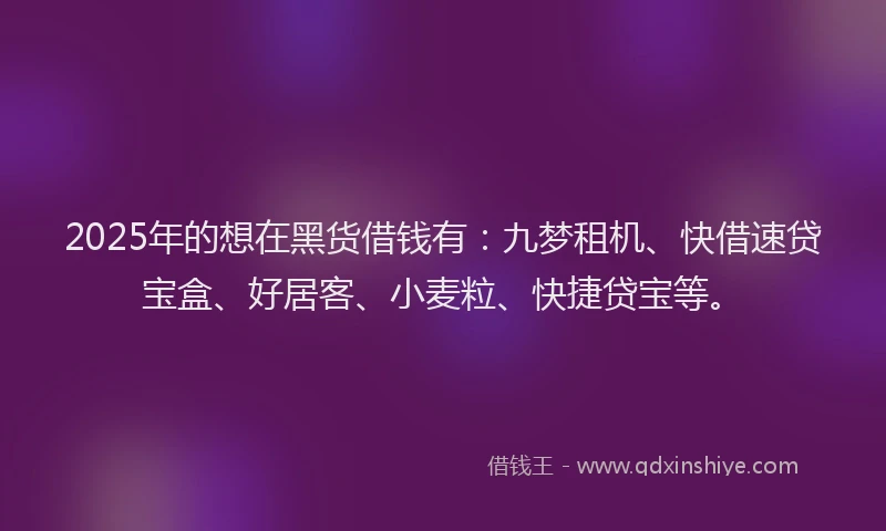 2025年的想在黑货借钱有：九梦租机、快借速贷宝盒、好居客、小麦粒、快捷贷宝等。