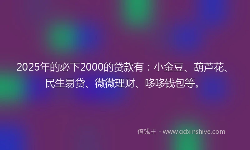 2025年的必下2000的贷款有：小金豆、葫芦花、民生易贷、微微理财、哆哆钱包等。