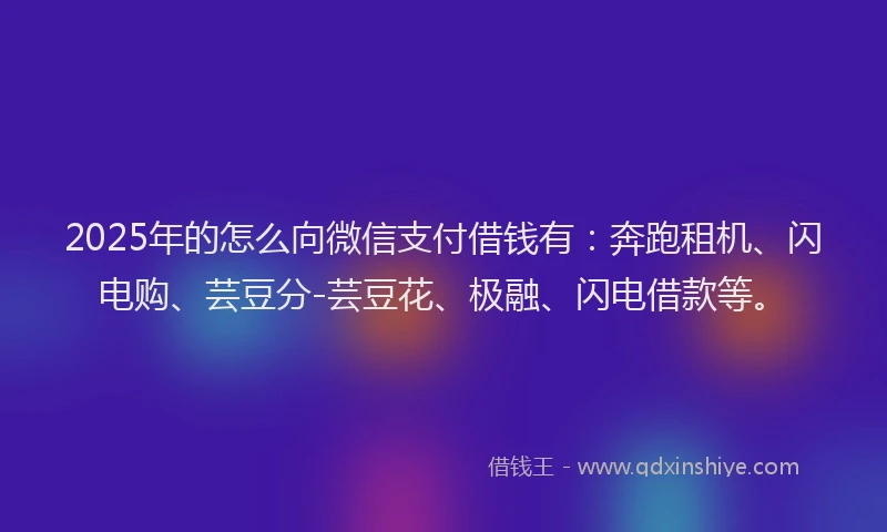 2025年的怎么向微信支付借钱有：奔跑租机、闪电购、芸豆分-芸豆花、极融、闪电借款等。